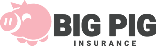 BIG PIG Insurance Services